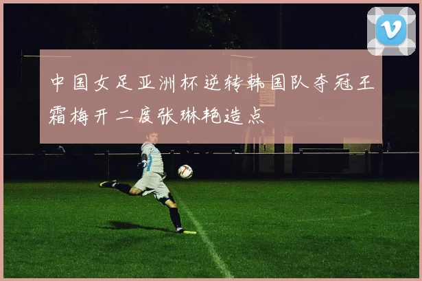 中国女足亚洲杯逆转韩国队夺冠王霜梅开二度张琳艳造点